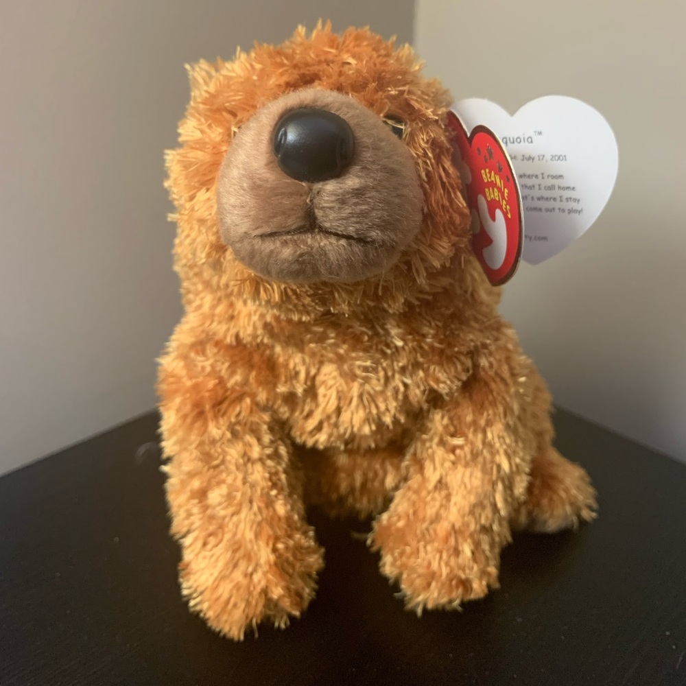 TY 2001 Sequoia the Bear